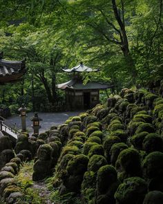 moss covered rocks and trees surrounding a small building