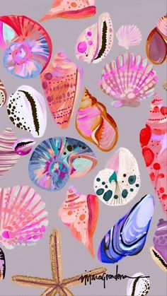 an image of seashells and starfish on a gray background with pink accents