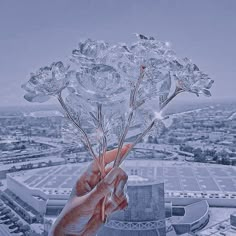 someone holding up some ice flowers in front of a cityscape with the sky