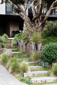 an outdoor garden with steps leading up to trees and grass in front of a house