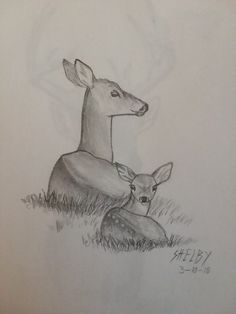 a pencil drawing of two deer laying in the grass