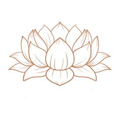 a drawing of a lotus flower on a white background