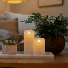 three lit candles sit on a tray next to a potted plant in a living room