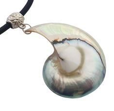 PRICES MAY VARY. This beautiful Nautilus Shell Necklace features a pendant of open Nautilus Shell. Its Mother of Pearl is skilfully polished giving it a lovely silver detailing and a lustrous quality. The Nautilus Necklace is held by an attractive black cord that is adjustable for your perfect fit. Enjoy this necklace in any parties as well as on Halloween as Ursula Necklace, Cosplay/Costume Conch Shell Necklace, Ursula costume Necklace! Shell Type: Nautilus Shell Necklace Length: 16 to 32 inch Adjustable Silver Shell Necklace As Gift, Adjustable Silver Shell Necklace For Gift, Nautilus Necklace, Ursula Necklace, Ursula Costume, Necklace Shell, Nautilus Shell, Costume Necklaces, Mother Of Pearl Necklace