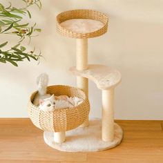 a cat sitting in a basket on top of a wooden floor next to a plant