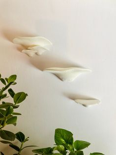 three white vases sitting next to each other on top of a table near plants