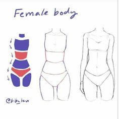 the female body is shown in blue, red and white