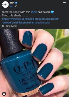 Navy Sns Nails, Navy Dip Nails, Dark Coloured Nails, Fall Blue Nail Colors, Blue Nails For Fall, 2024 Fall Nail Colors, Blue Fall Nails, Fall Toe Nails, Diva Nails