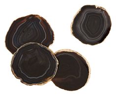 three slices of black agate wood on a white background