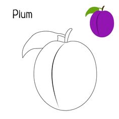 a coloring page with an apple and the word plum