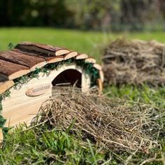 a dog house made out of wood with vines growing on it