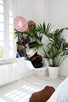 a white chair sitting next to a potted plant