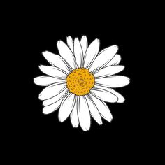 a white daisy with yellow center sitting on a black background in the middle of an image