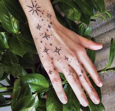 a woman's hand with stars on it and green leaves around her, next to a potted plant