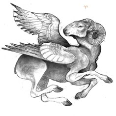 a black and white drawing of an animal with wings