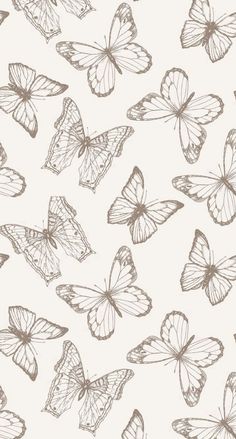 a bunch of butterflies flying in the air with their wings spread out and facing different directions