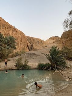 two people are wading in the water near some rocks and palm tree's