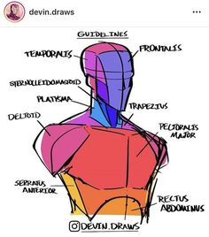 an image of the back of a man's head and torso with labels on it