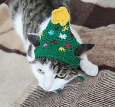 a cat wearing a knitted christmas tree hat