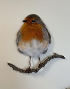 a small bird sitting on top of a tree branch