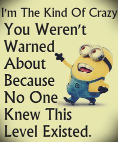 a minion saying i'm the kind of crazy you weren about because no one knew