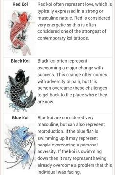 the red koi is often represented in black koi or blue koi fish