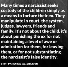 Screaming For Help, Full Custody, Smear Campaign, Doing Better, Parental Alienation, Custody Battle