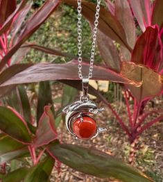 Dainty Red Jasper Dolphin Pendant Red Jasper Crystal Necklace Root Chakra Healing Due to its truly extraordinary metaphysical properties, red jasper stones are believed to be a one-stop-shop for manifesting courage, strength, and wisdom. In the same way that a beautifully rendered landscape echoes our complex, vast ecosystem, these unique gemstones remind us to consider the priceless planetary elements that give us life. The combination of minerals that give red jaspers stones their opaqueness a Red Agate Healing Jewelry, Red Carnelian Spiritual Jewelry, Red Agate Jewelry With Natural Stones, Red Natural Stones Jewelry For Healing, Red Spiritual Crystal Pendant Necklace, Spiritual Red Crystal Pendant Necklace, Red Agate Gemstone Necklace, Red Spiritual Pendant Crystal Necklaces, Red Spiritual Jewelry With Gemstone Beads