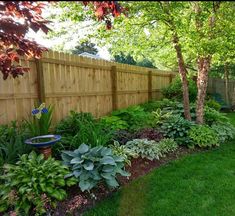 a garden with lots of green plants and trees in the back yard, next to a wooden fence