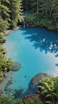 a blue pool surrounded by trees and water