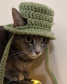 a cat wearing a green crochet hat sitting on top of a table next to a lamp