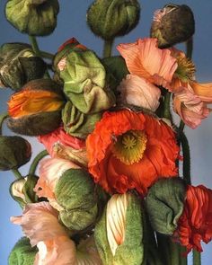 a vase filled with lots of flowers on top of a table