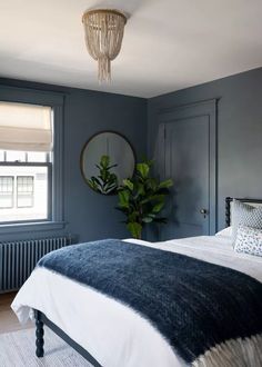 a bedroom with blue walls, white bedding and a large plant in the corner