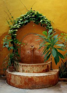 there is a fountain with plants growing out of it and in front of a yellow wall