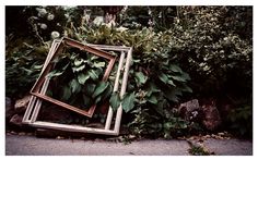 an old photo frame sitting on the ground in front of some plants