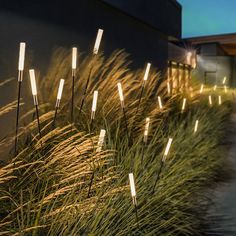 some lights that are on the side of a building and grass in front of it