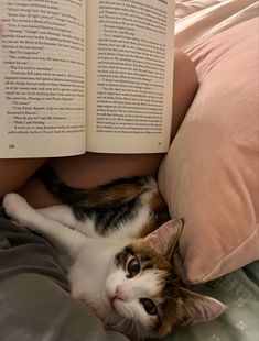 a cat laying on top of a bed next to an open book