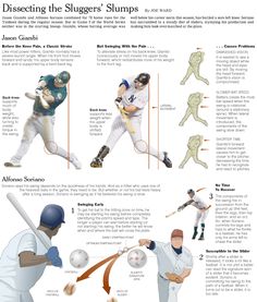 an info sheet describing the different types of baseball players and their positions to play in