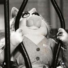 Fraggle Rock, The Muppet Show, Miss Piggy, Behind Bars, Jim Henson, Bending, Sesame Street, Reaction Pictures, Mood Pics