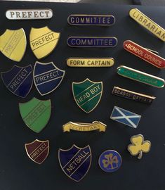 Prefect Badge, Eco School, Guide Badges, Purse Cleaning, Scottish Flag, Gold Tapestry, Christmas Fairy Lights, Retro Yellow