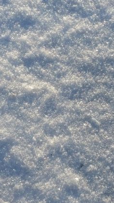 a bird is standing in the snow looking for food