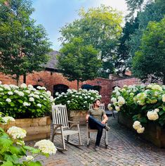 a person sitting in a chair on a brick patio surrounded by white hydrangeas