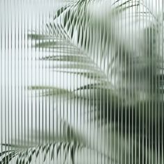 a palm tree is seen through the blinds in this blurry photo, with only one leaf visible