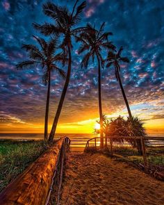 the sun is setting behind two palm trees on the beach with a wooden fence in front of it