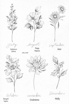 the different types of flowers are shown in black and white, with names on them