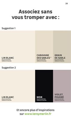 the color scheme for an interior design project, with black and white colors in different shades