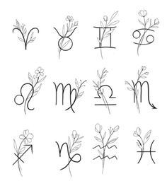 the zodiac signs and their symbols are drawn in black ink on a white paper background