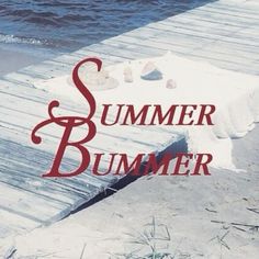 a book cover with the title summer bummer written in red and white on it