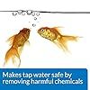 two goldfish swimming next to each other with the caption mates top water safe by removing hammer chemicals