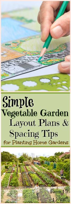 a person holding a pencil in their hand and writing on a map with the words simple vegetable garden layout plans & spacing tips for planting home gardens